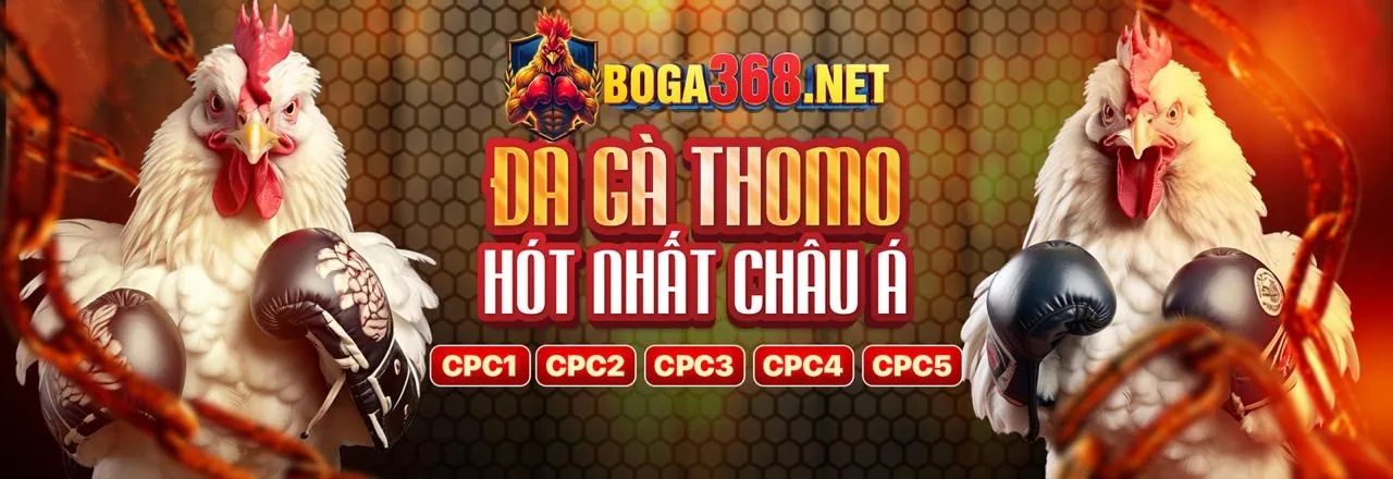 Đá Gà Trực Tuyến ae555