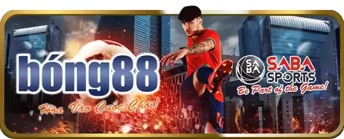 Cá cược thể thao ae555